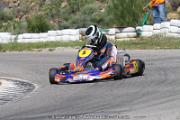 20110501_ales_agnus (3545)